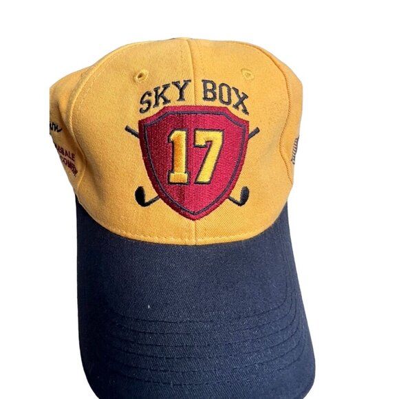 Assorted Baseball Caps Bundle - Sky Box 17 Taz Benchwarmers Babco Construction - Picture 4 of 10
